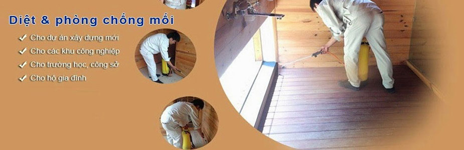 Diệt mối tận gốc tại nhà tại Nam Định